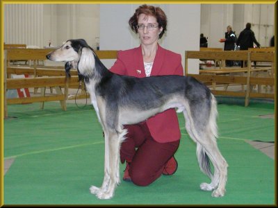 Tazillah Palash Kayyam