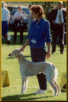 Elvis and Satu in a show ring